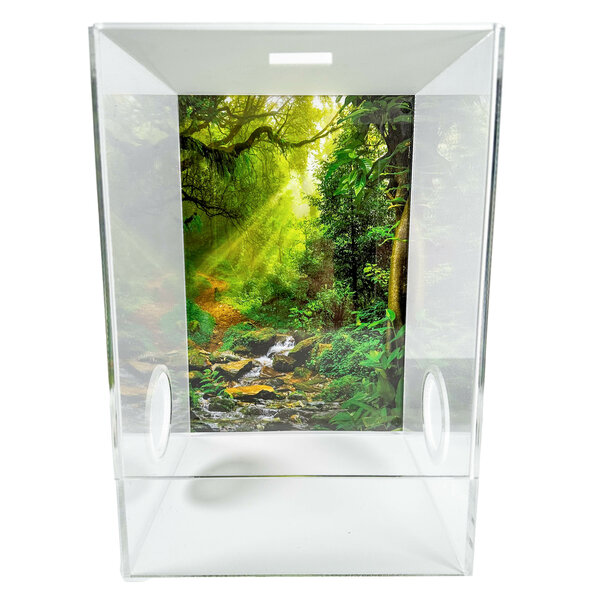 Insecten Terrarium